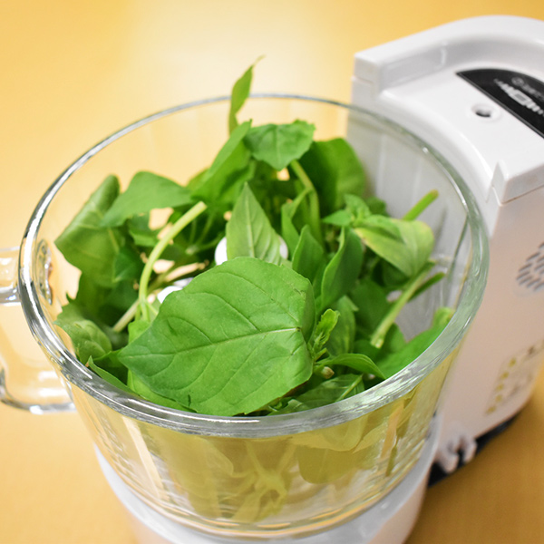 フレッシュバジルのジェノベーゼソース