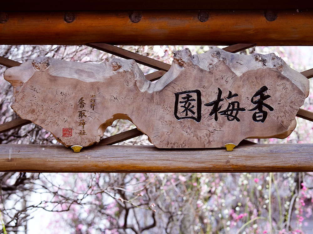 令和6年 小村井香取神社「香梅園梅まつり」