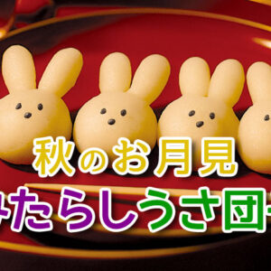 秋のお月見　みたらしうさ団子