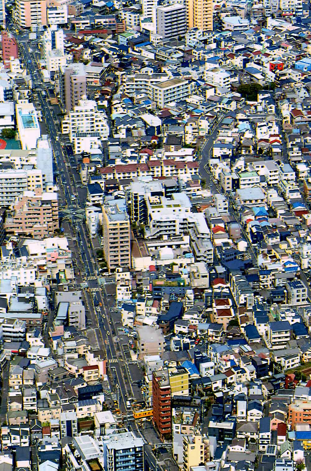 黄色い亀戸線を探せ！