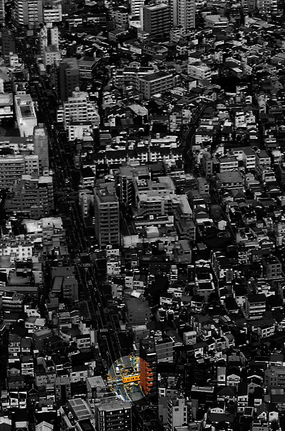 黄色い亀戸線を探せ！