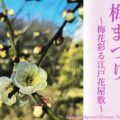 向島百花園「梅まつり」2026