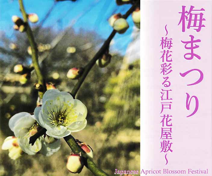 向島百花園「梅まつり」2026