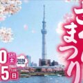 「隅田公園（墨田区）の桜と東京スカイツリー」