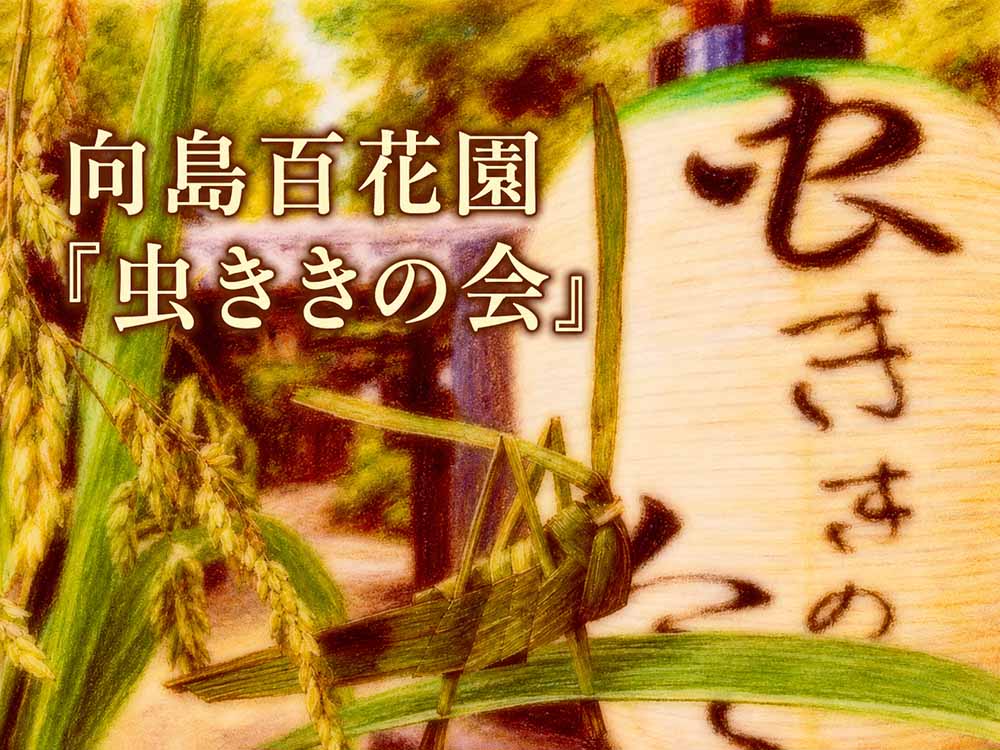 向島百花園「虫ききの会」開催【2026年8月27〜30日】